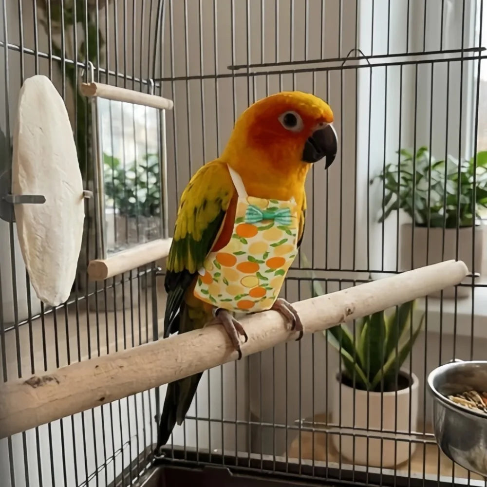 Parrot Flight Suit – Washable Cotton Bird Diaper with Bowtie Bird Flight Suit Axl