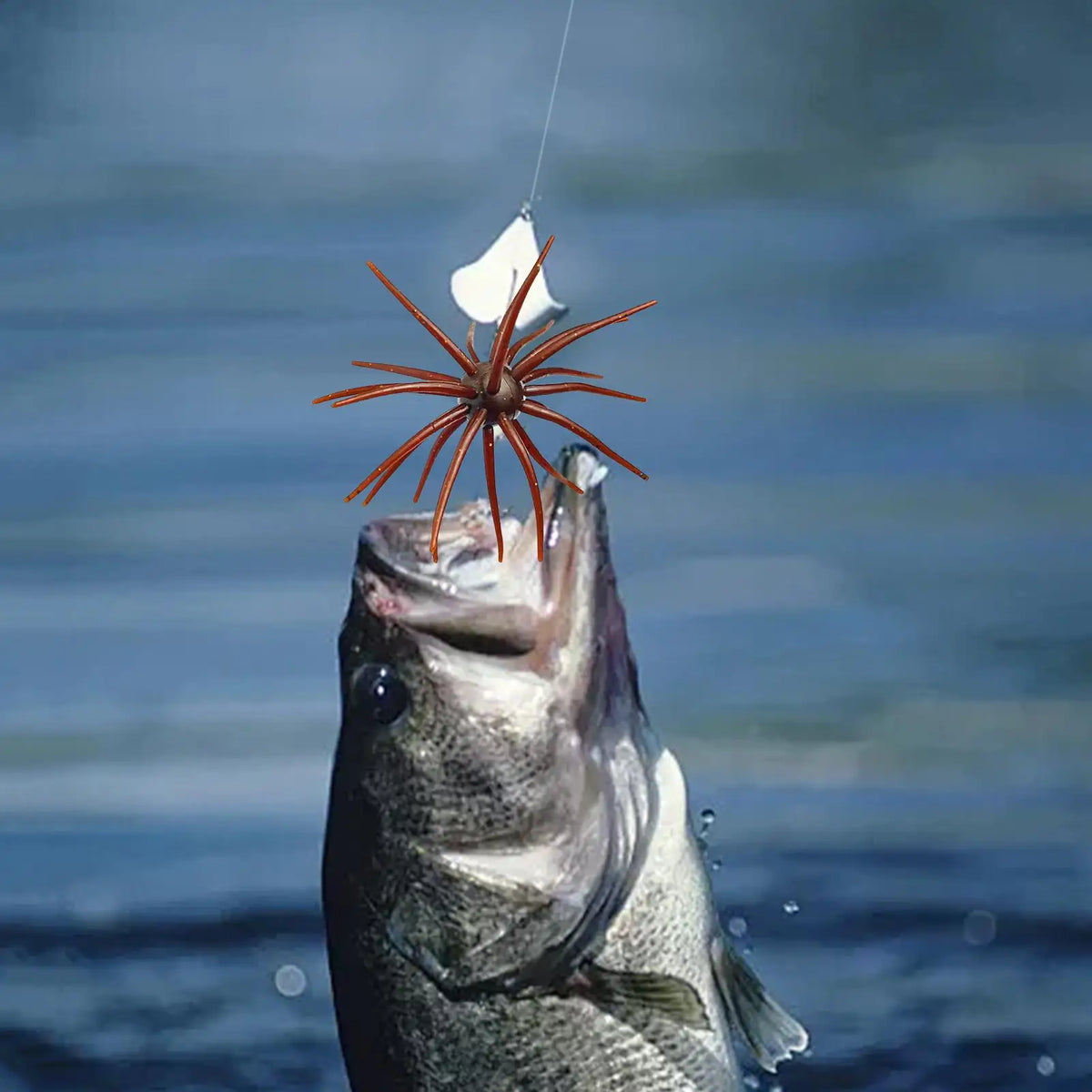 Soft Sea Urchin Fishing Lure – Fresh & Saltwater Bait Soft Fishing Lure Axl