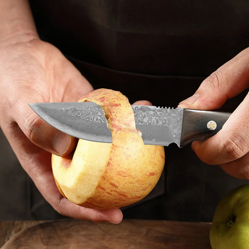 Damascus VG10 Kitchen Knife – Wood Handle Fruit & Veg Knife Damascus Kitchen Knife Axl