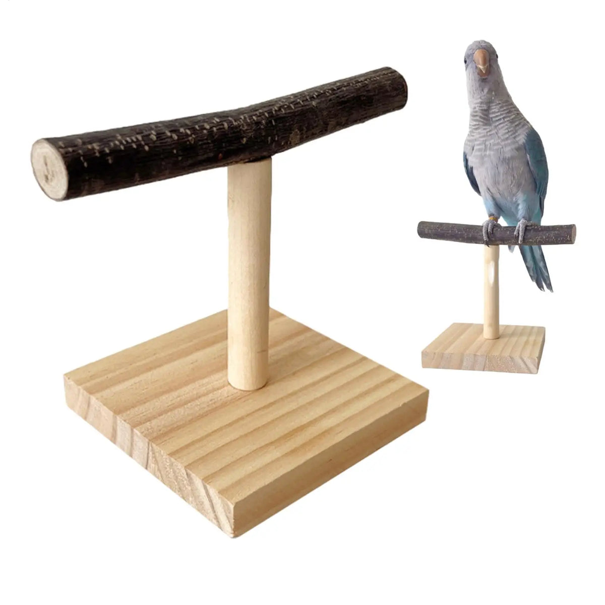 Natural Wood Parrot T-Perch Stand – Chew Toy & Training Perch Bird Perch Stand Axl