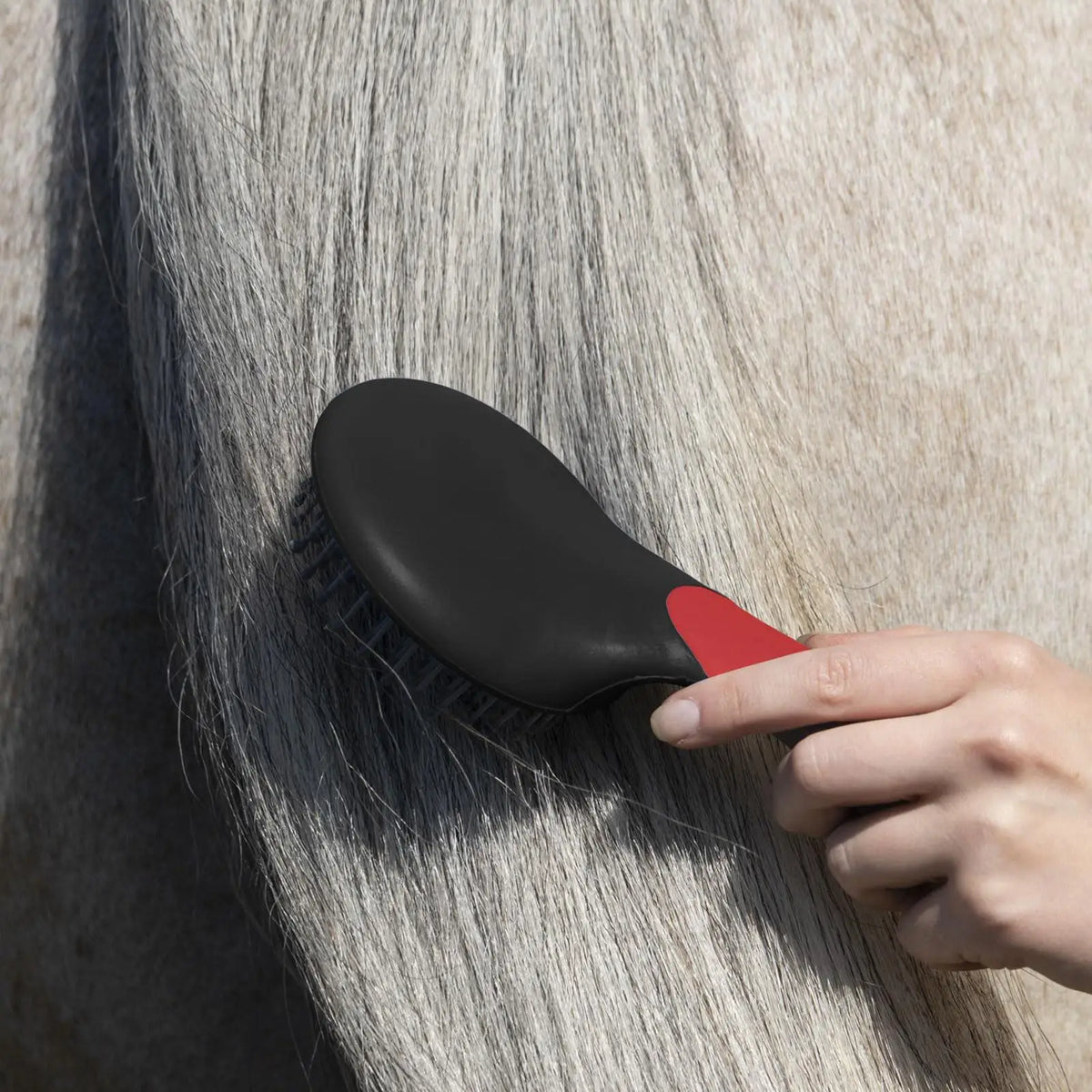 Horse Mane & Tail Brush – Soft Needle Bristles Grooming Kit Horse Grooming Brush Axl