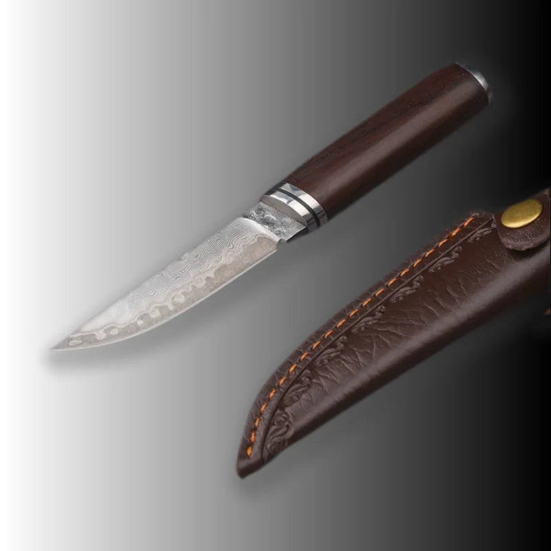 Damascus Fixed Blade Hunting Knife | 10Cr15MoV Steel 3-Inch Fixed Blade Knife Axl