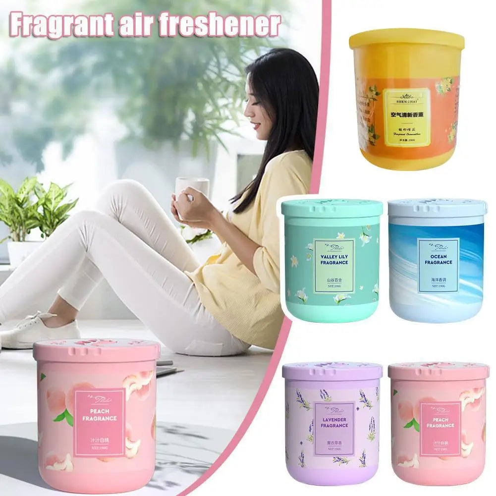 Natural Plant Air Freshener – Indoor Odor Eliminator Air Freshener Axl
