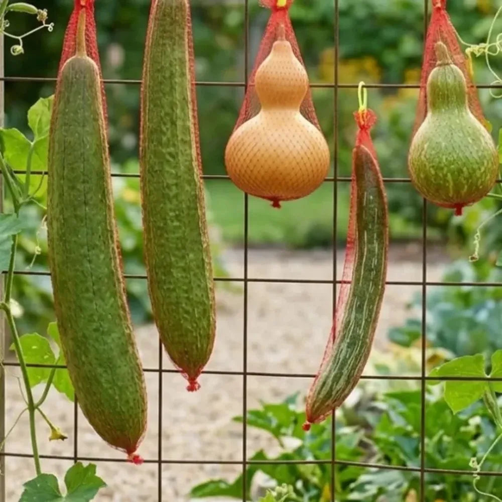 100 Pcs Fruit Hanging Net Bags – Melon, Pumpkin & Watermelon Fruit Support Nets Axl