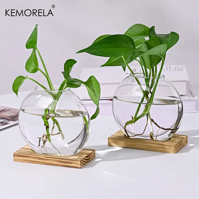 Hydroponic Glass Planter with Wood Stand | Desk Decor Vase Glass Hydroponic Planter Axl