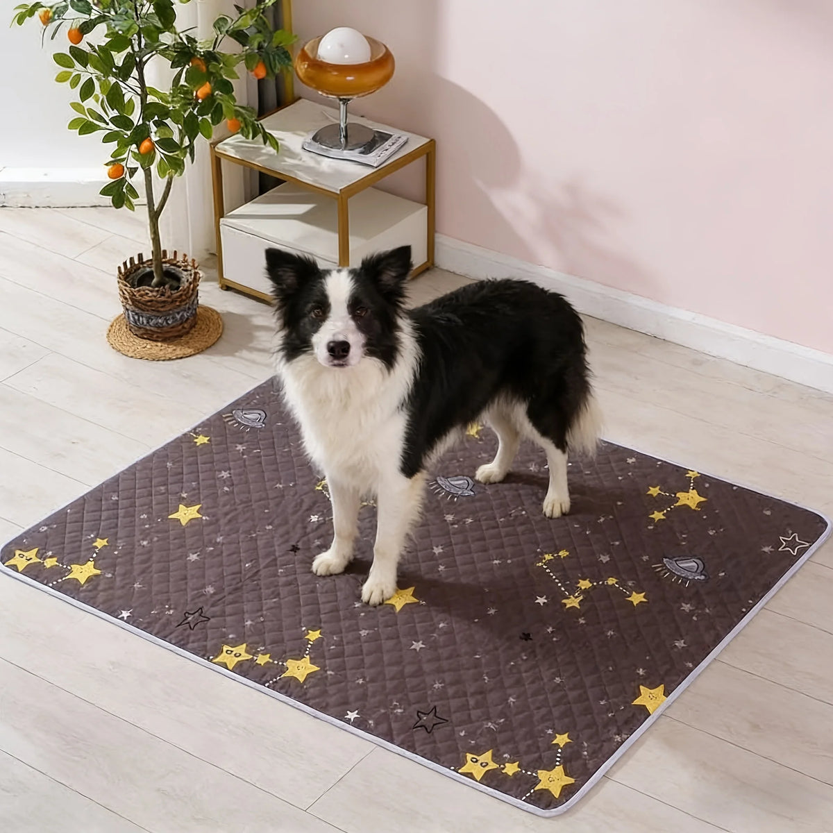 KEMORELA 2-Pack Reusable Dog Training Mats – Washable Pet Pads Pet Training Mat Axl