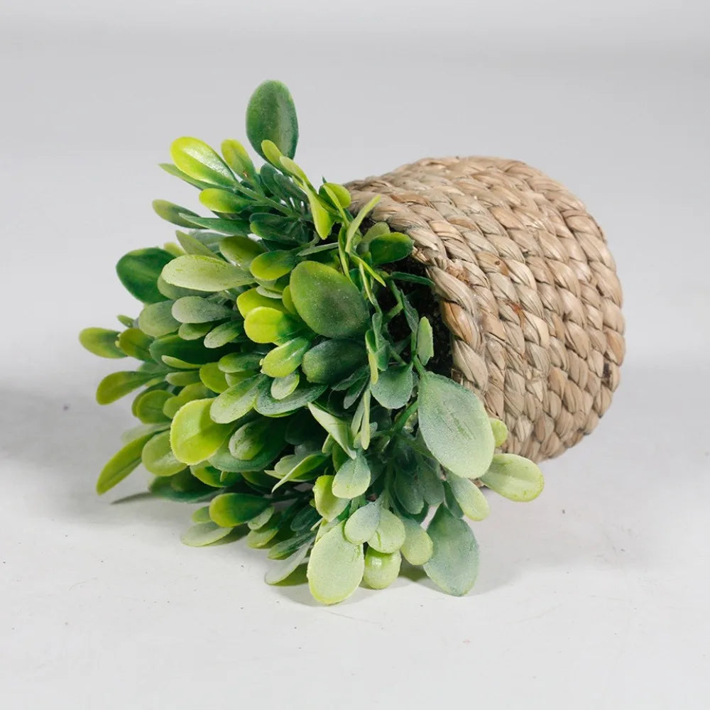 11cm Artificial Eucalyptus Potted Plant – Faux Green Decor Artificial Potted Plant Axl