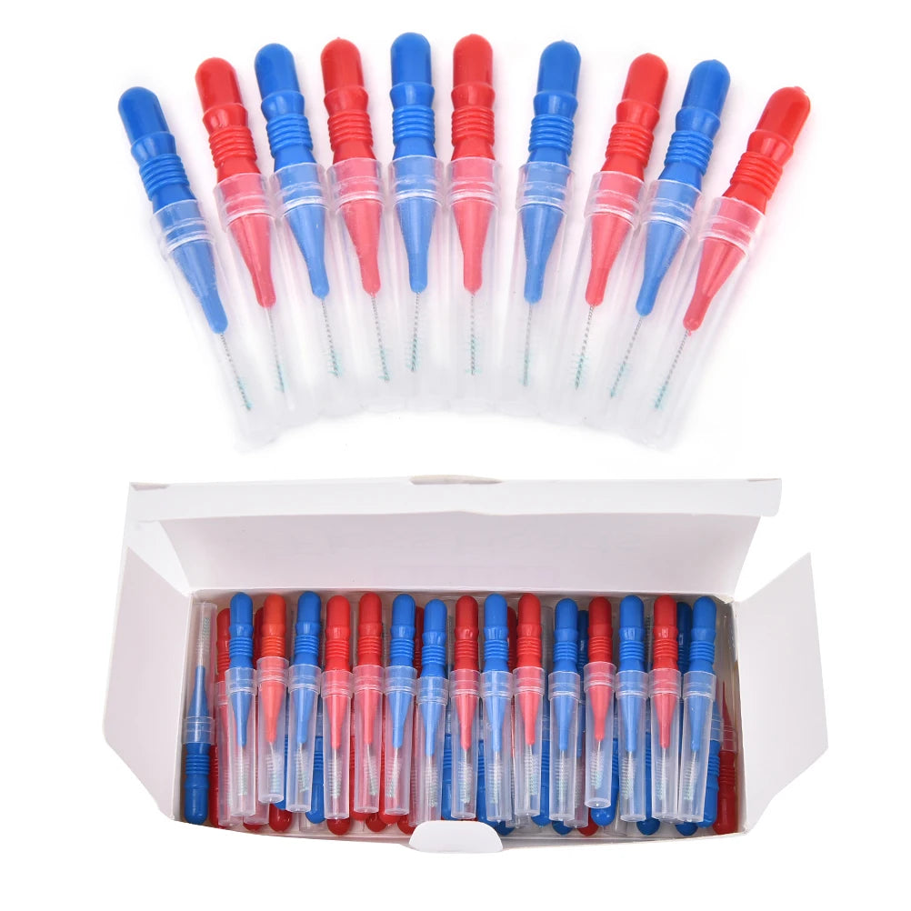 50-Piece Dental Floss Picks – Interdental Brush & Toothpick Dental Floss Picks Axl