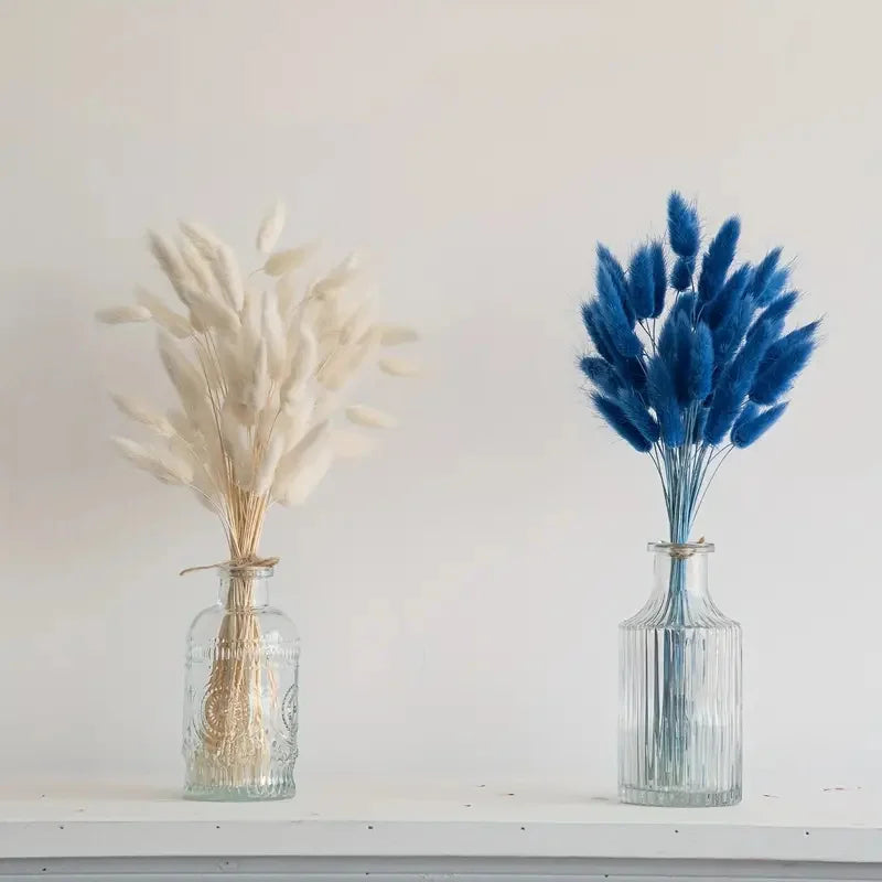 60 PCS Dried Bunny Tails Grass – Boho Wedding & Home Decor Dried Floral Bouquet Axl