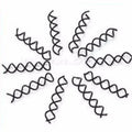 10-Pack Spiral Spin Hair Pins – Twist Bun Clips for Women Spiral Hair Pins Axl black