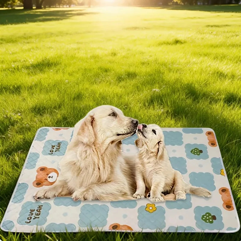 Kemorela 2-Pack Washable Dog Training Mats – Car, Home & Outdoor Dog Training Mat Axl