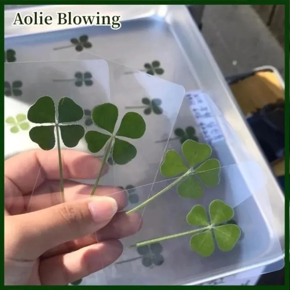 5-Pack Four-Leaf Clover Bookmarks – Waterproof Leaf Vein Decorative Bookmark Axl