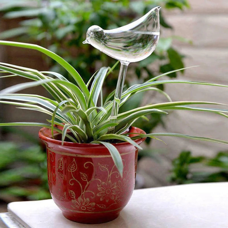 Bird Self Watering Globe – Plastic Plant Waterer Bulb Self Watering Globe Axl