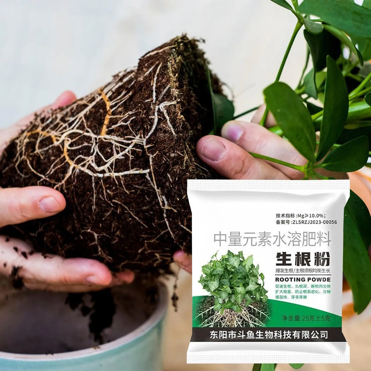 Rooting Powder for Plant Cuttings – Organic Root Stimulator Rooting Powder Axl