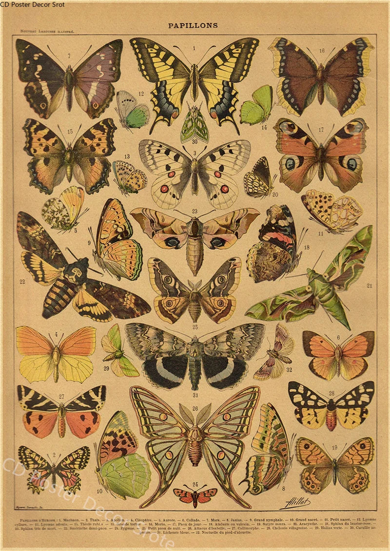 Vintage Botanical Kraft Paper Poster – Butterfly, Mushroom & Flowers Wall Art Poster Axl