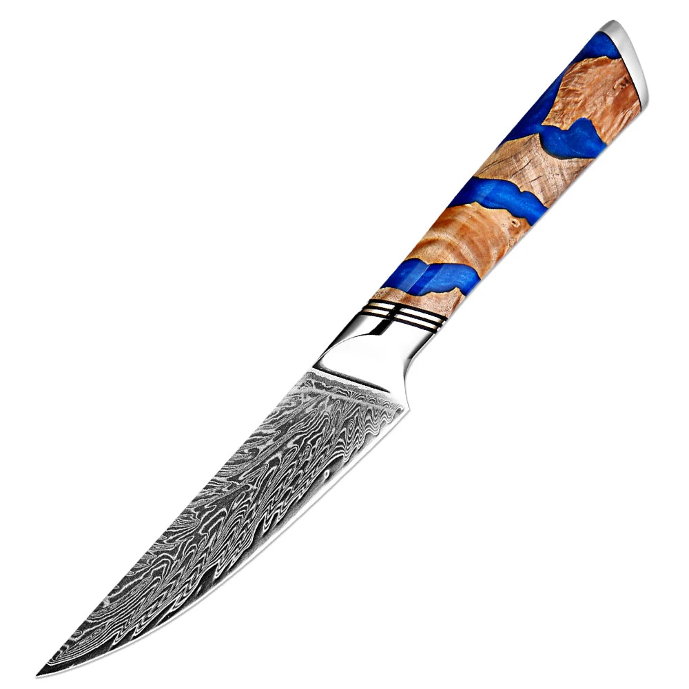 XITUO Damascus Chef Knife Set – 67-Layer VG10 Steel, 1–9 Pcs Damascus Knife Set Axl Utility Knife