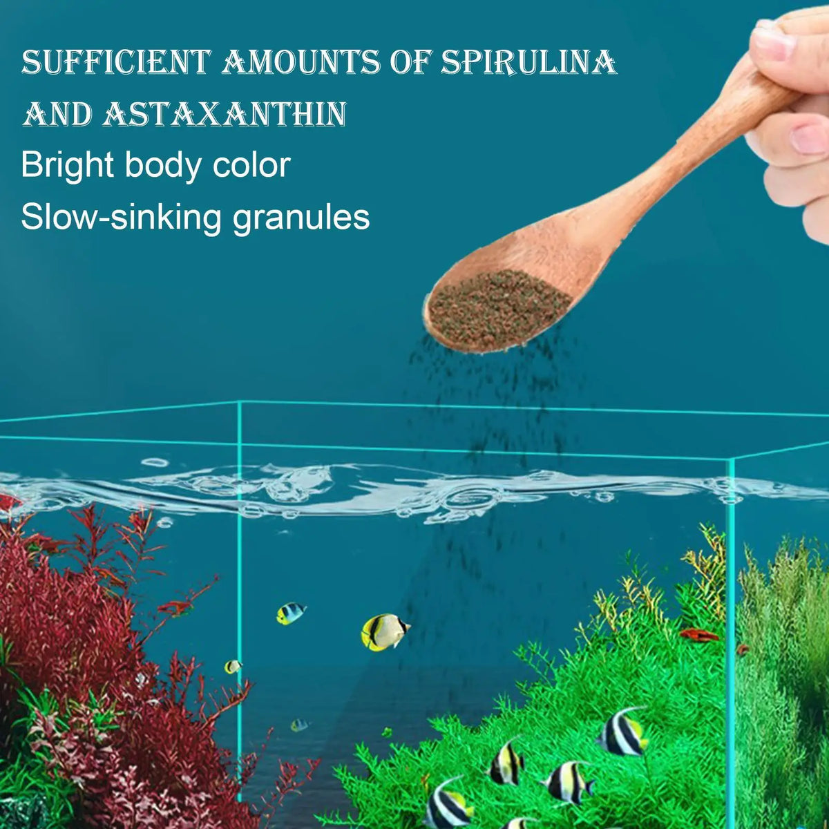 Betta & Tropical Fish Food Pellets – 75g Nutrient-Rich Formula Aquarium Fish Food Axl