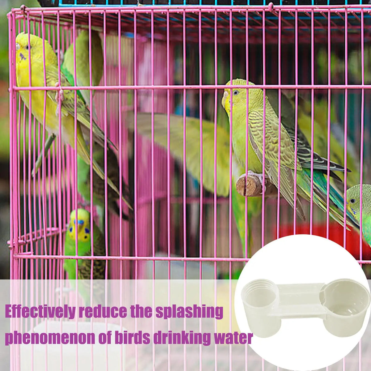 Double-Port Bird Water Dispenser – Splash-Proof Drinker Cup Bird Water Dispenser Axl