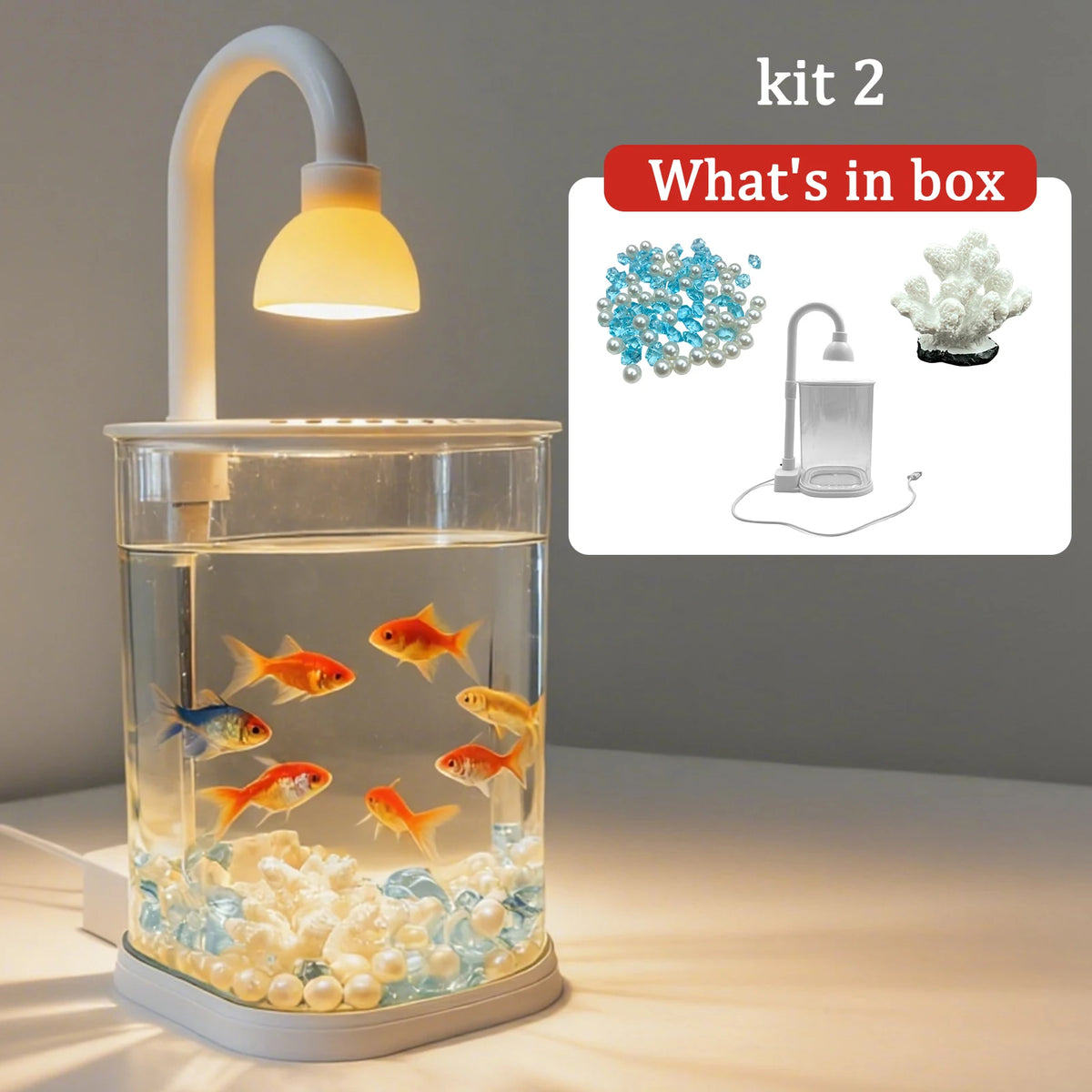 Starter Kit Small Tabletop Fish Tank with Light – Kids Gift Tabletop Fish Tank Axl Kit 2 S