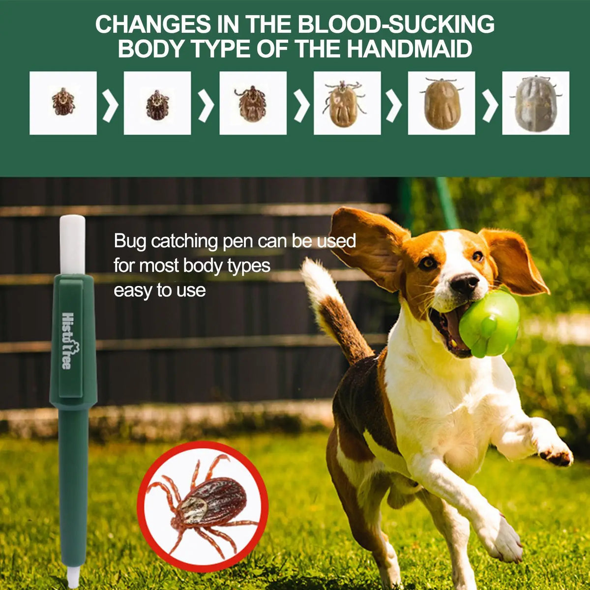 Pet Tick Remover Pen – Waterproof Tool for Pets & Humans Tick Remover Tool Axl