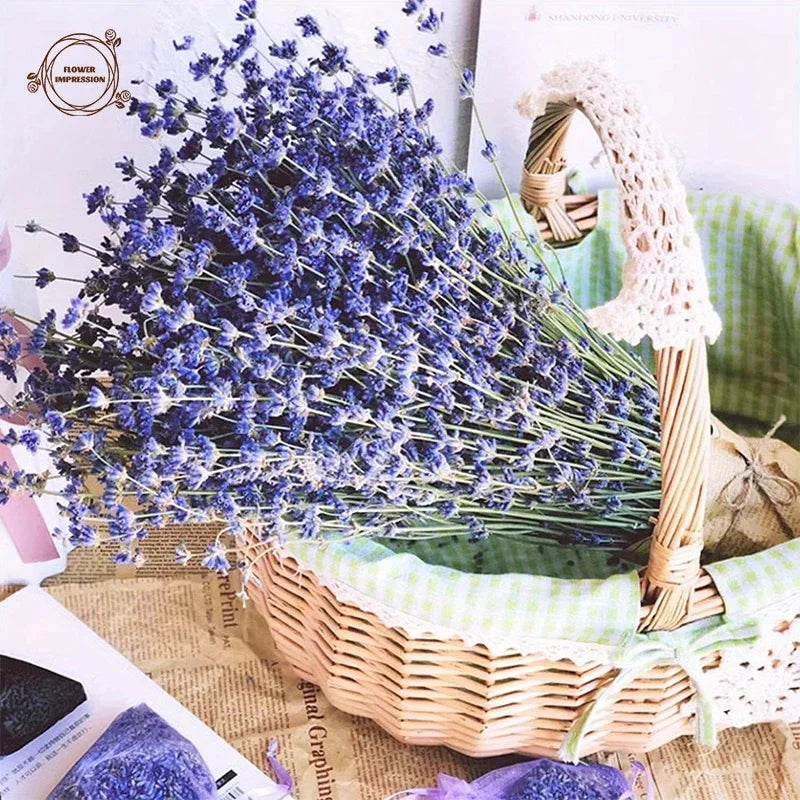Natural Dried Lavender Bouquet | Wedding & Home Décor Gift Dried Flower Bouquet Axl