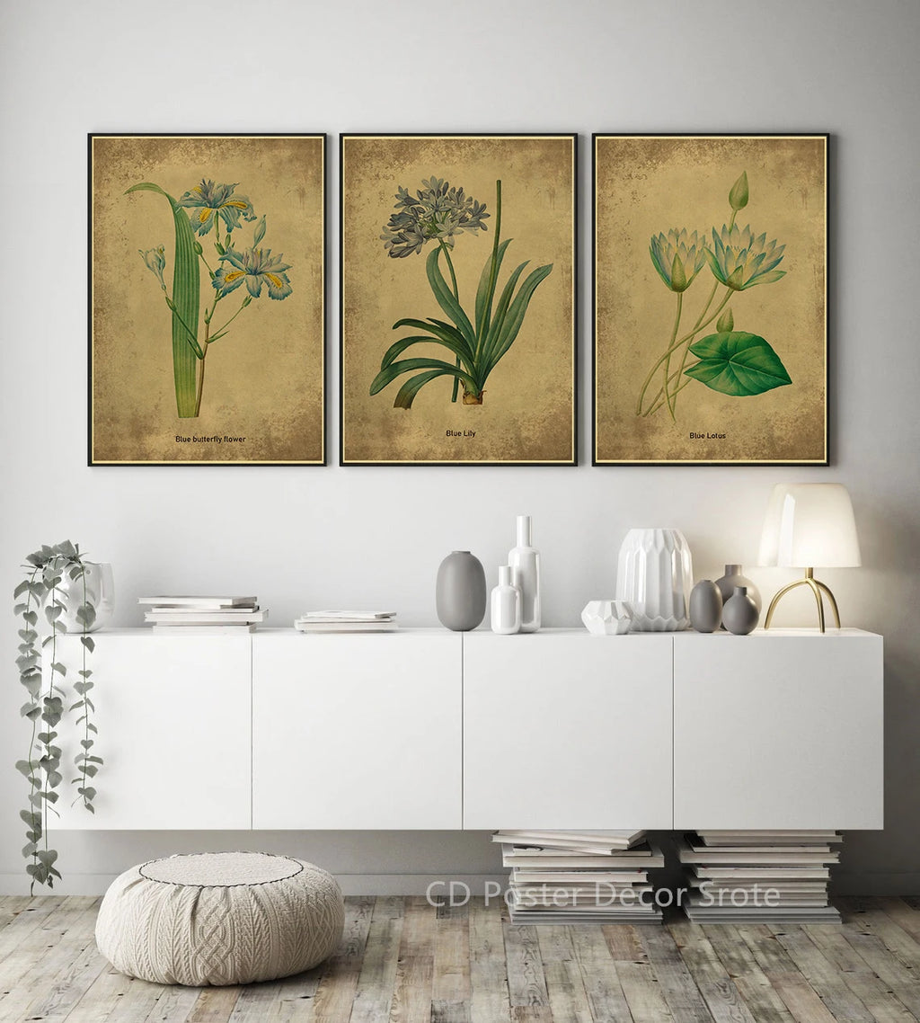 Vintage Botanical Floral Poster – Herb Rose & Butterfly Wall Art Botanical Wall Poster Axl