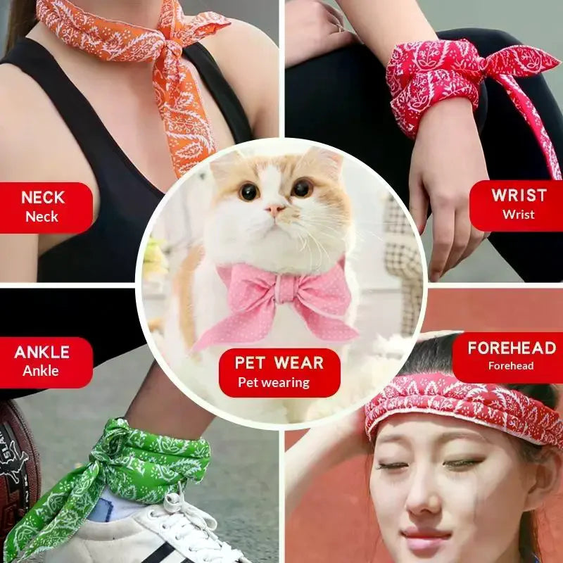 Pet Cooling Scarf – Adjustable Collar for Cats & Puppies Pet Cooling Scarf Axl