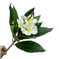 Artificial Plumeria Frangipani Flower Branch | Real Touch Leaves Artificial Flower Branch Axl WHITE