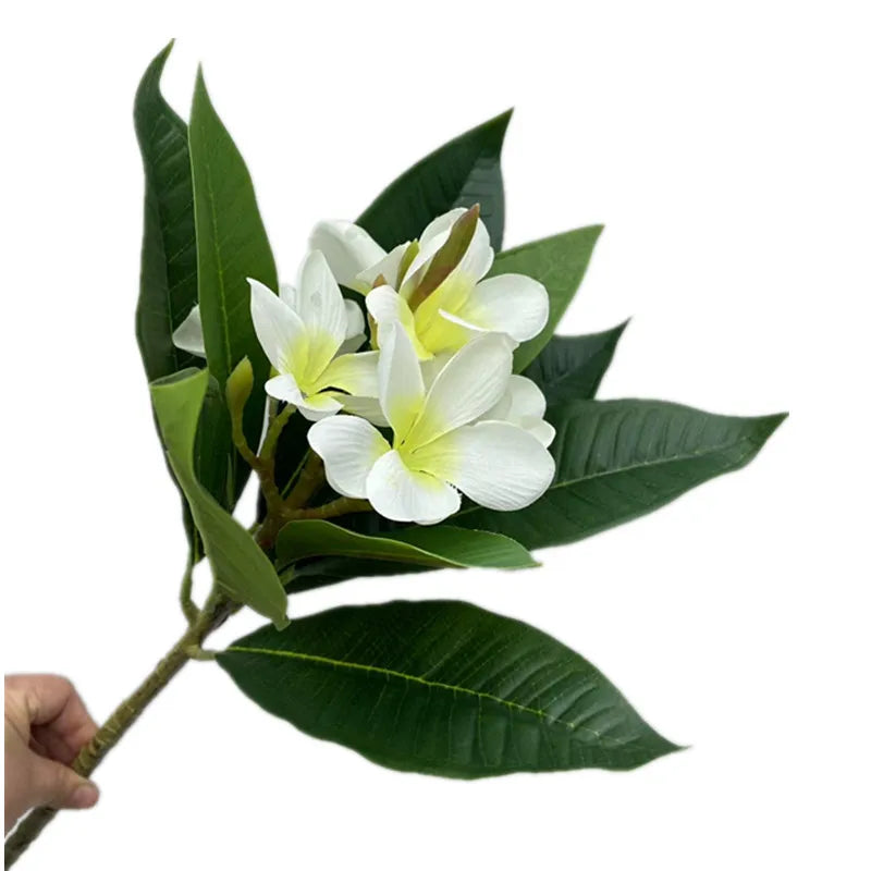Artificial Plumeria Frangipani Flower Branch | Real Touch Leaves Artificial Flower Branch Axl WHITE
