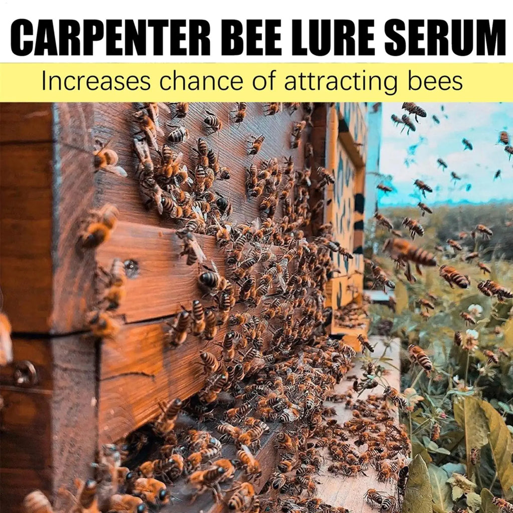 Carpenter Bee Attractant Spray 100ml | Bee Trap Bait Bee Attractant Spray Axl