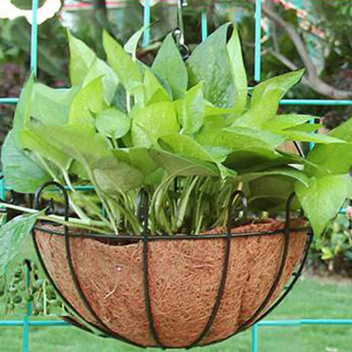 Coco Coir Round Hanging Basket Liner – Natural Coconut Fiber Hanging Basket Liner Axl