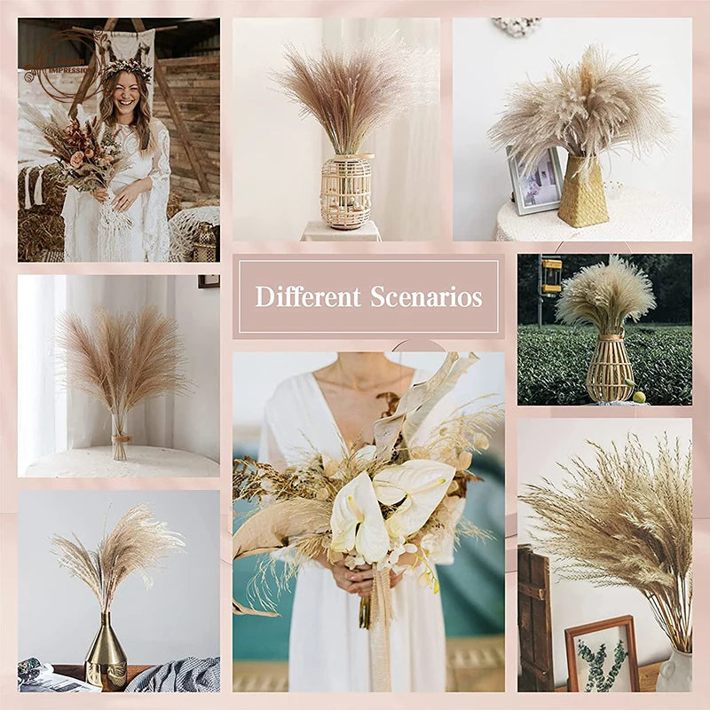 Natural Dried Pampas Grass & Bunny Tails Boho Bouquet Dried Flower Bouquet Axl