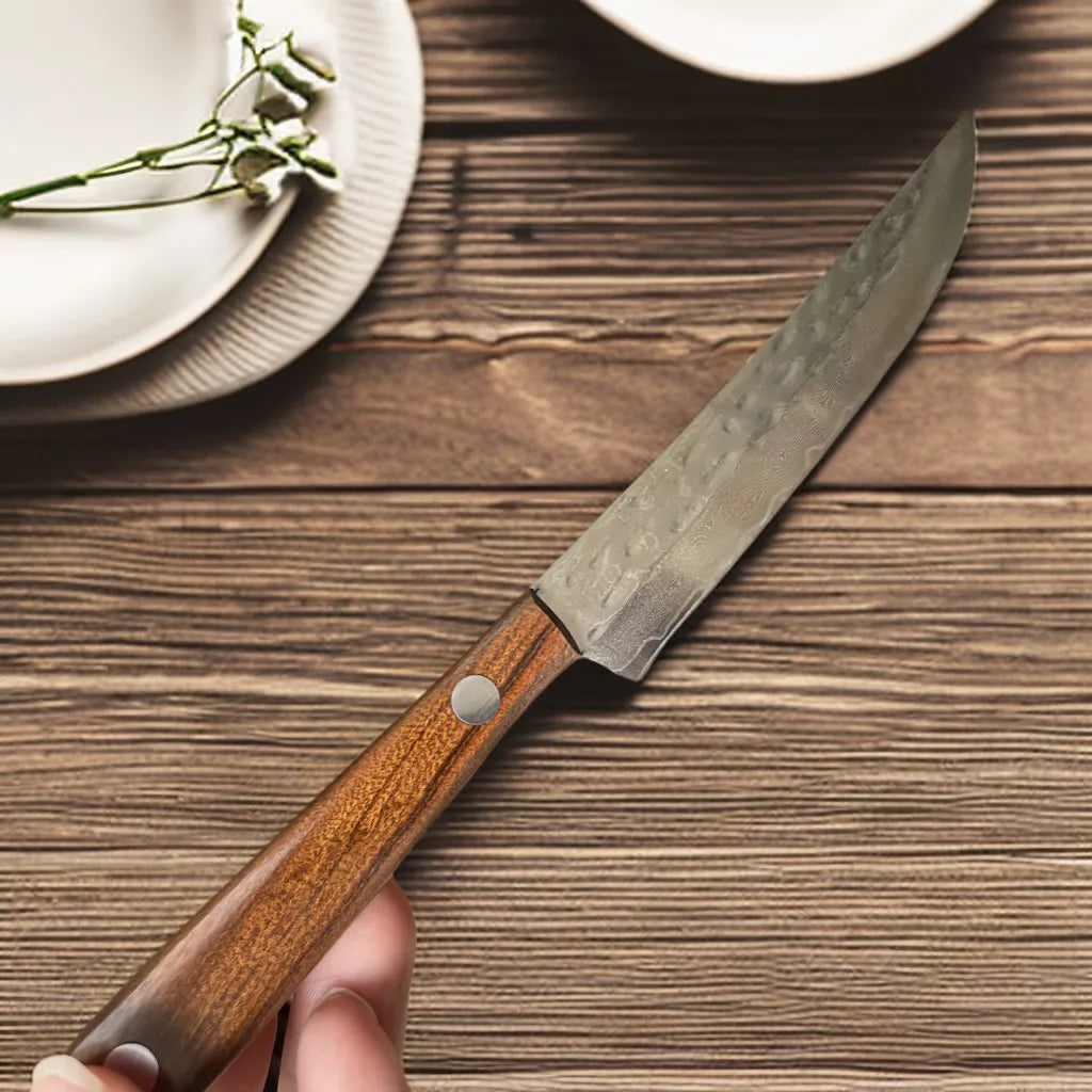 67-Ply Damascus Steel Steak Knife Set | Wood Handle 2/4/6 Pc Damascus Steak Knife Set Axl