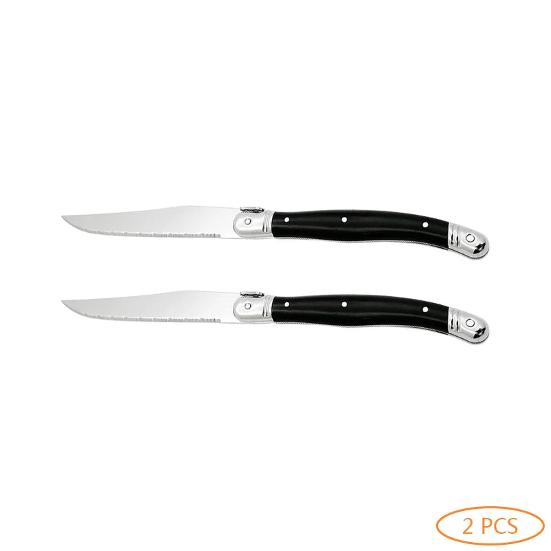 Laguiole Black Stainless Steel Cutlery Set – Fork Knife Spoon 2–10pc Flatware Cutlery Set Axl 2 PCS Knife