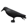 Simulation Black Crow Decoy – Bird Repellent Raven Prop Bird Repellent Decoy Axl 1PCS