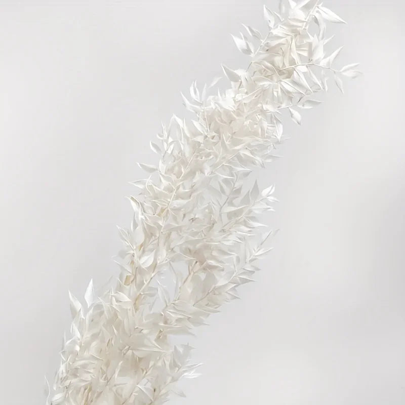 Natural Ruscus Dried Flower Bouquet 40g – Boho Home Decor Dried Flower Bouquet Axl 40g White