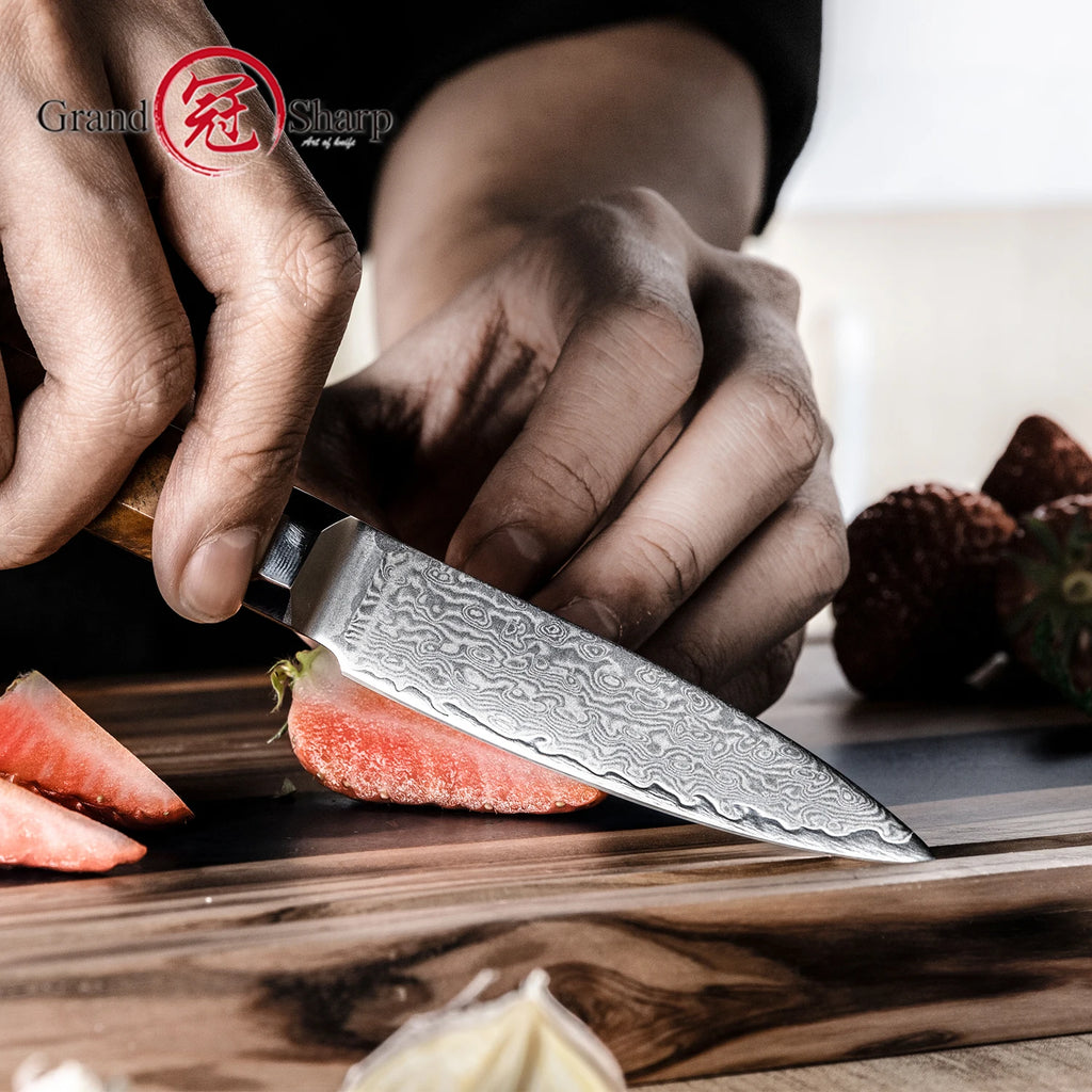 Grandsharp 67-Layer Damascus VG10 Paring Knife – 8.5 Inch Damascus Paring Knife Axl
