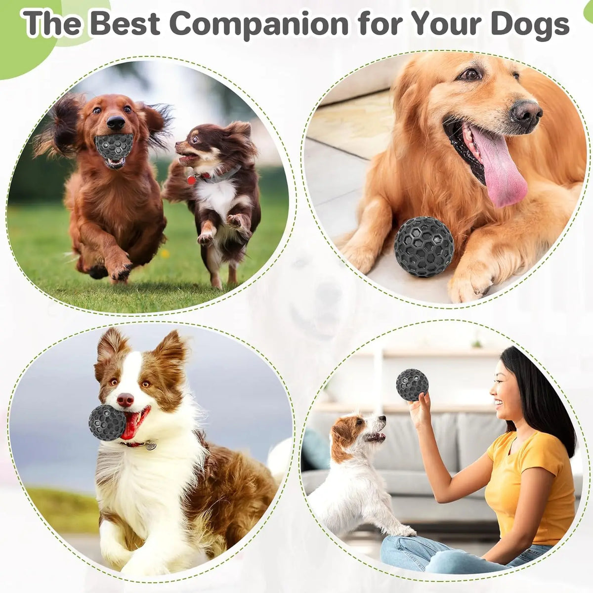 Interactive Squeaky Rubber Dog Ball Toy – Chew & Fetch Dog Chew Toy Axl
