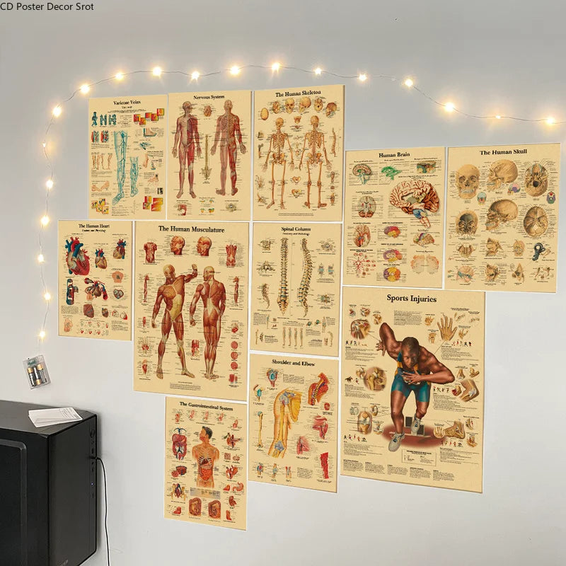 Retro Anatomy Skeleton Poster – Kraft Paper Wall Art A3/A4 Wall Art Poster Axl