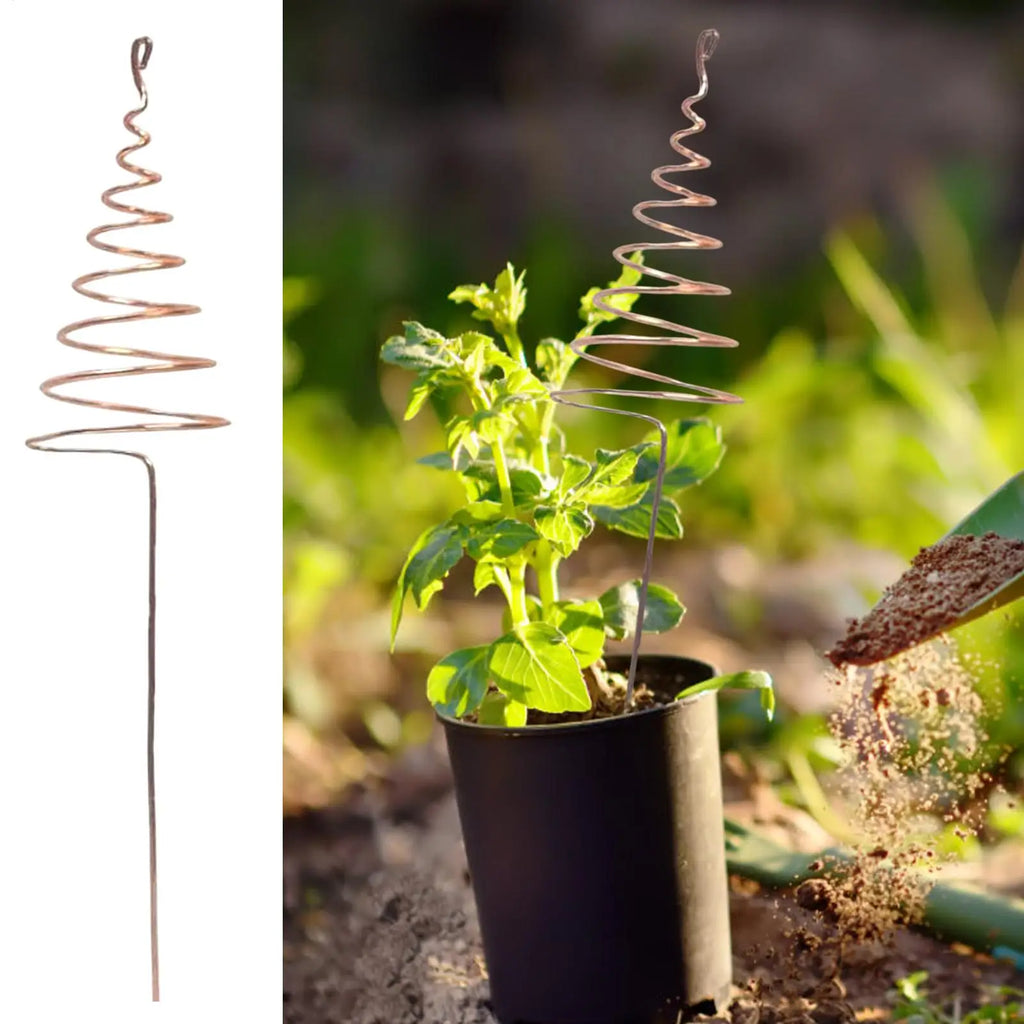 Spiral Copper Garden Stakes 6 Pcs – Indoor & Outdoor Plants Garden Plant Stakes Axl