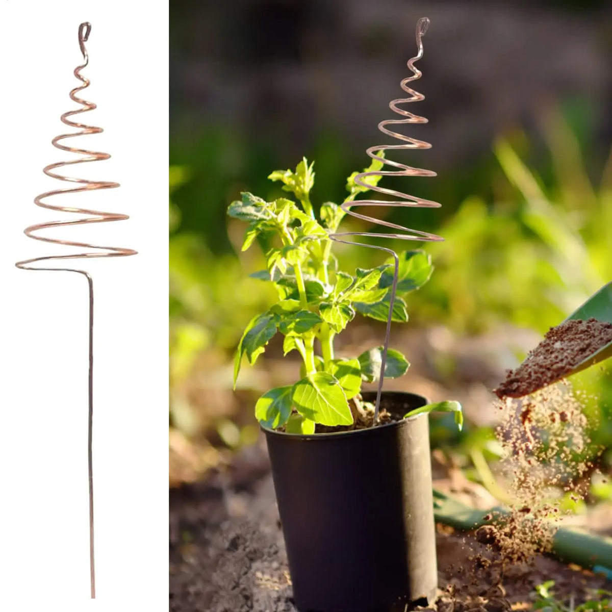 Spiral Copper Garden Stakes 6 Pcs – Indoor & Outdoor Plants Garden Plant Stakes Axl