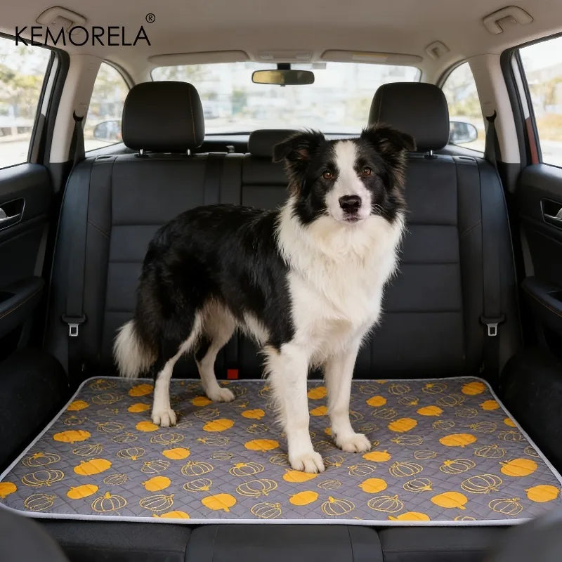 KEMORELA 2-Pack Washable Dog Training Mats – Home & Car Dog Training Mat Axl