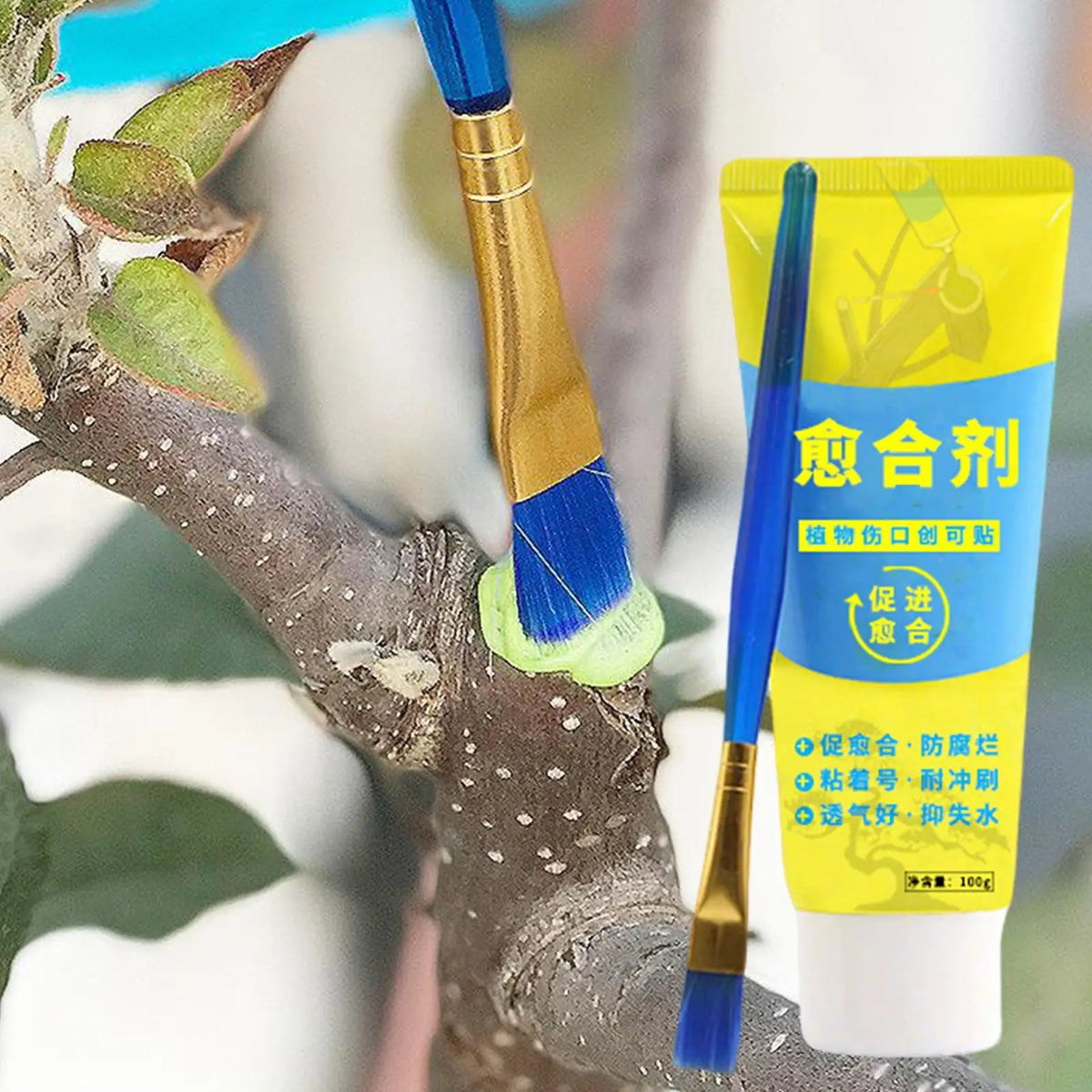 Tree Pruning Sealer 100g – Grafting Coating Cream with Brush Tree Pruning Sealer Axl