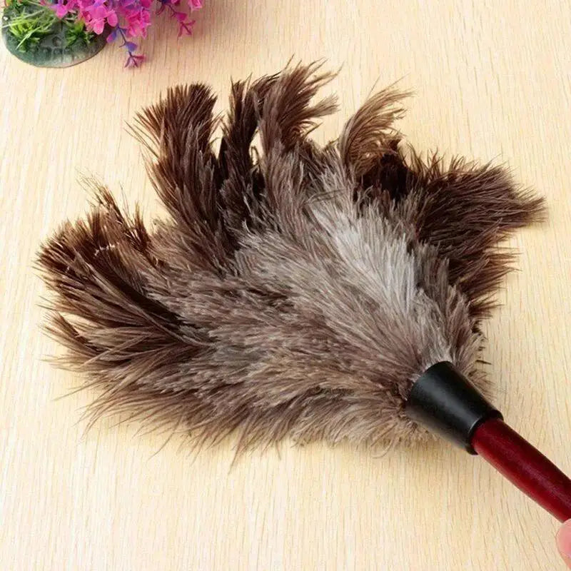 Anti-Static Ostrich Feather Duster with Wooden Handle Feather Duster Axl