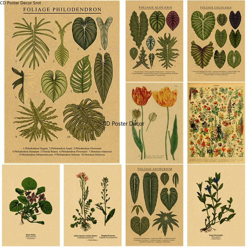 Vintage Botanical Poster – Kraft Paper Plant & Flower Wall Art Wall Art Poster Axl