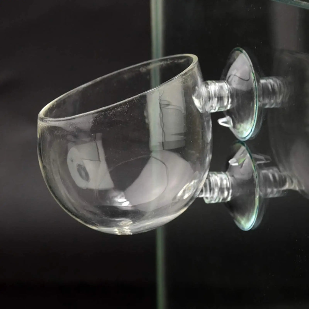 Aquarium Glass Plant Pot with Suction Cups | Fish Tank Planter Aquarium Plant Pot Axl