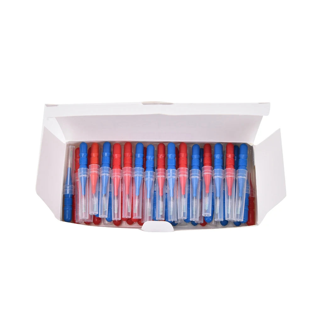 50-Piece Dental Floss Picks – Interdental Brush & Toothpick Dental Floss Picks Axl
