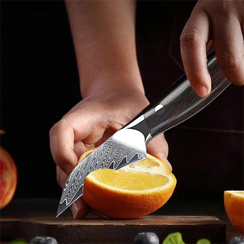 67-Layer Damascus Steel Paring Knife – Fruit Peeling Knife Damascus Paring Knife Axl
