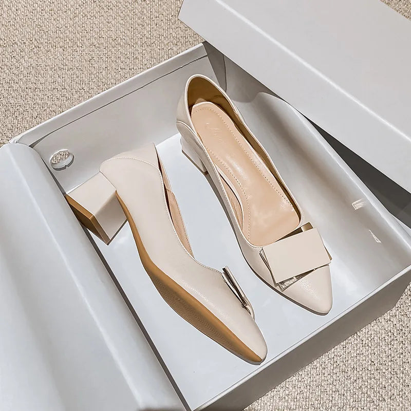 Women's Low Heel Pumps – Pointed Toe Slip-On Dress Shoes Low Heel Pumps Axl Apricot 34
