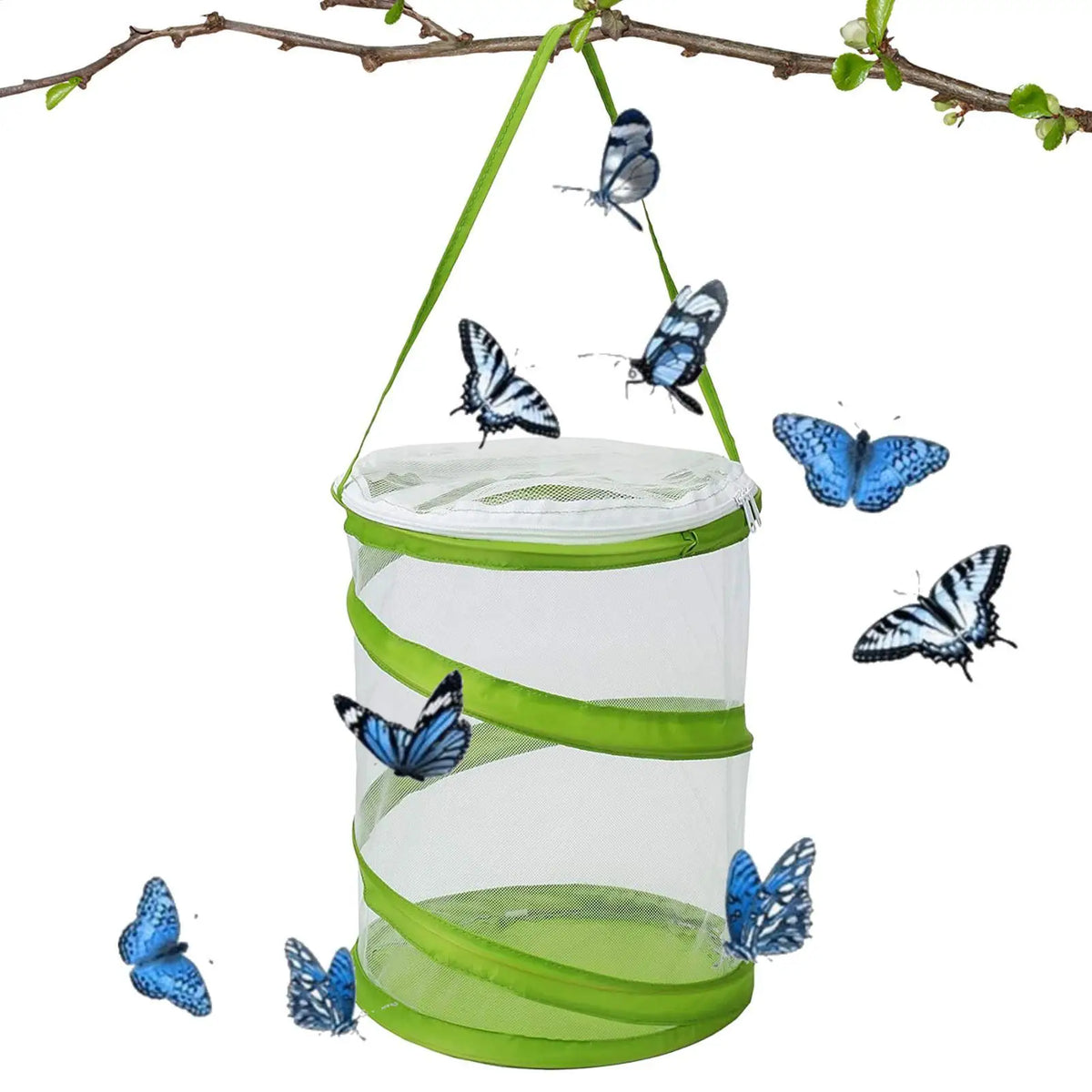 Foldable Butterfly Habitat Cage – Clear Mesh Caterpillar Enclosure Insect Habitat Cage Axl
